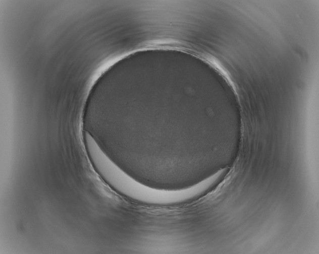 X0000111441336200908031345