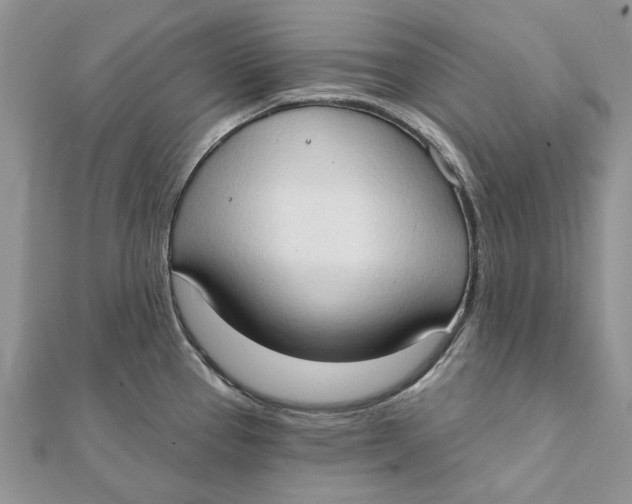 X0000111441337200908031345