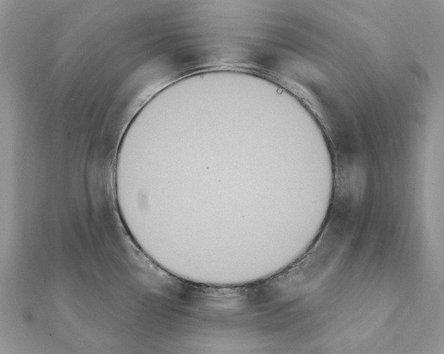 X0000111441338200908031345