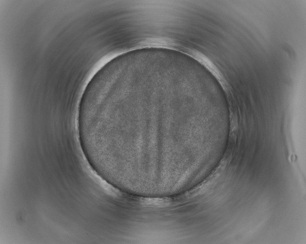 X0000111441339200908031345