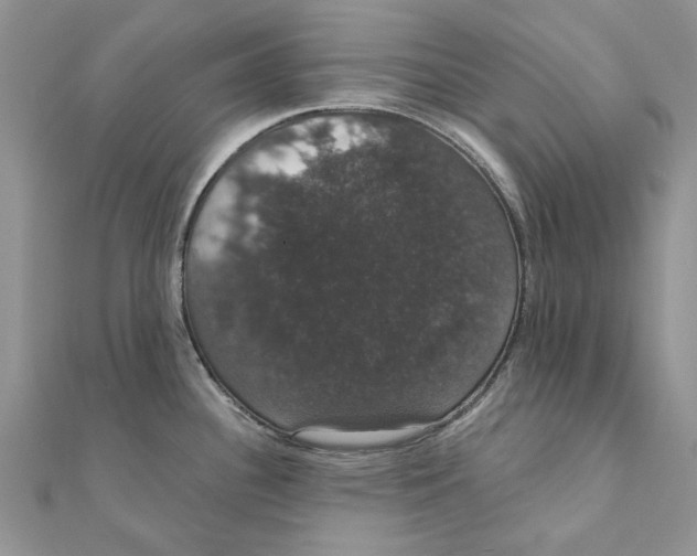 X0000111441340200908031345