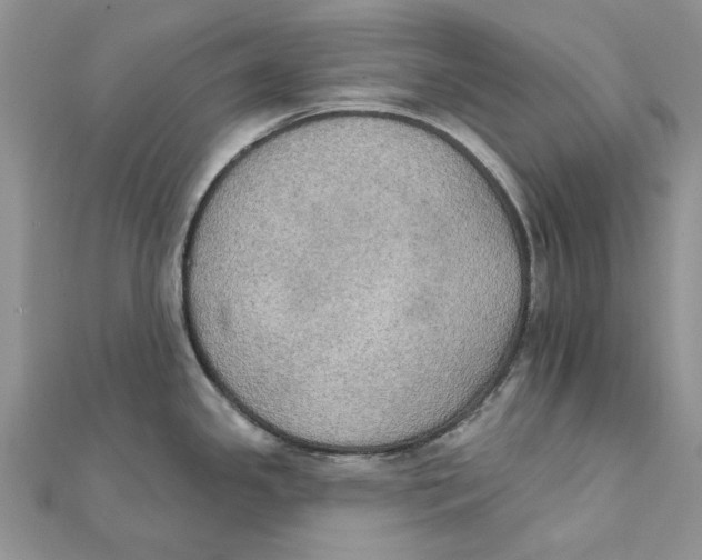 X0000111441341200908031345