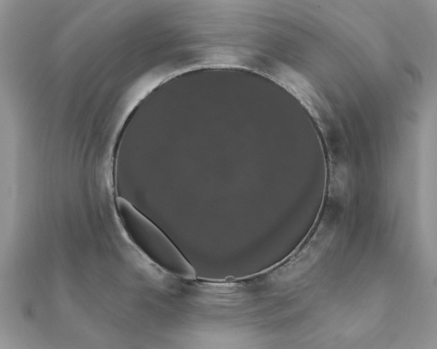 X0000111441342200908031345