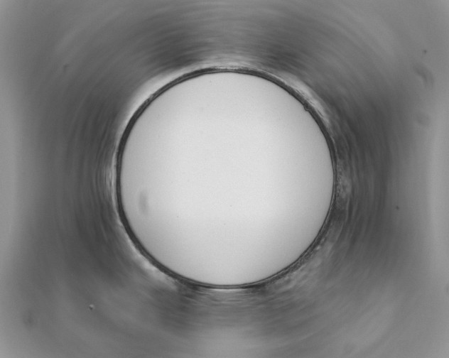 X0000111441343200908031345