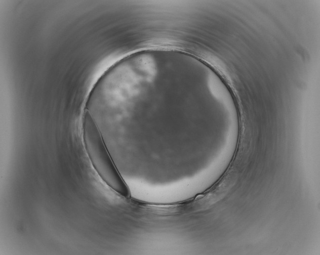 X0000111441344200908031345