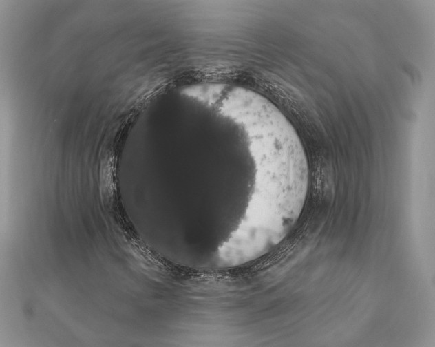 X0000111441346200908031344