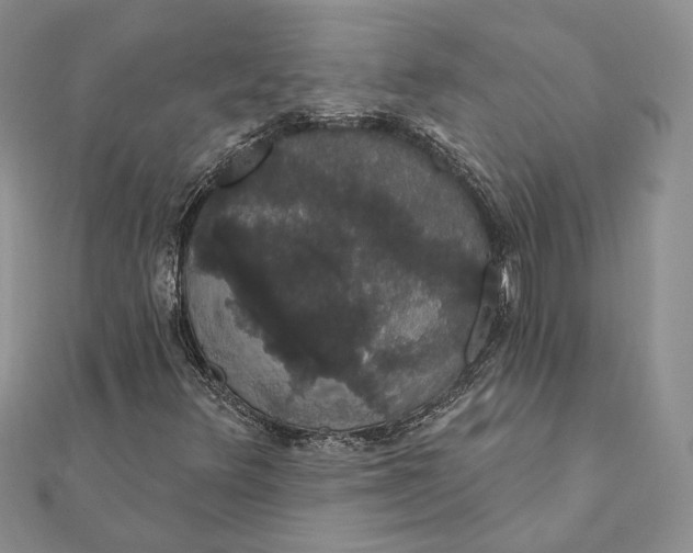 X0000111441348200908031344