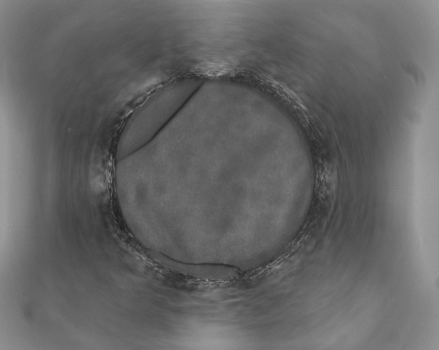 X0000111441349200908031344