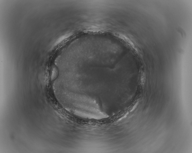 X0000111441350200908031344