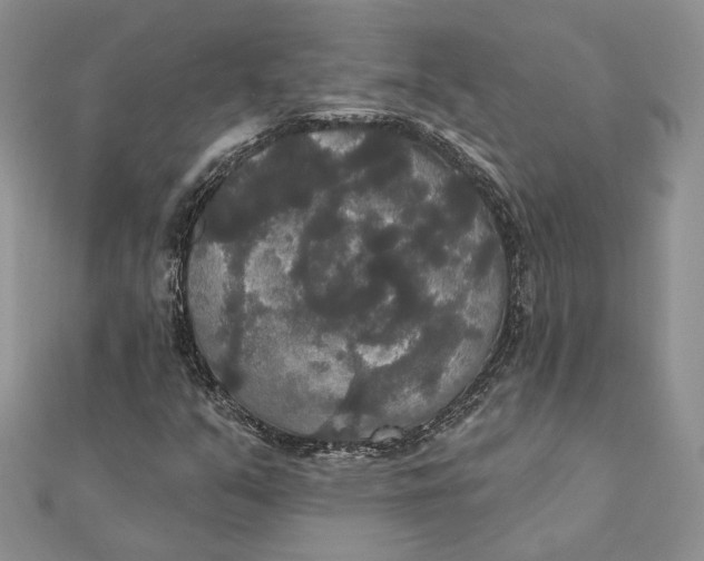 X0000111441351200908031344