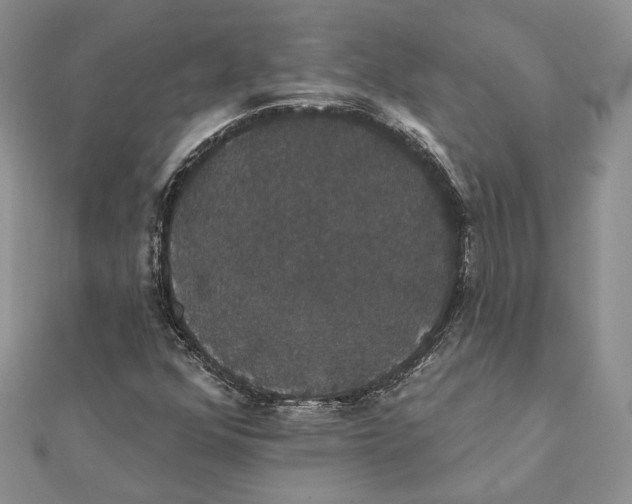 X0000111441352200908031344