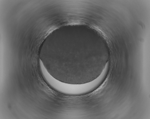 X0000111441353200908031344