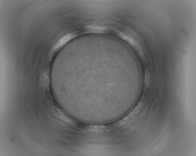 X0000111441354200908031344