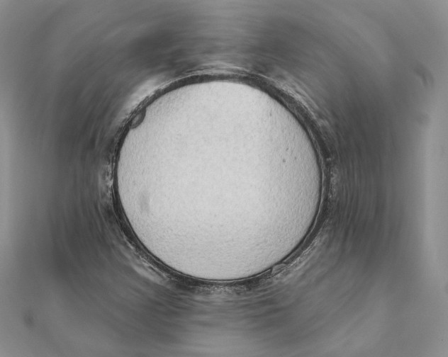 X0000111441355200908031344