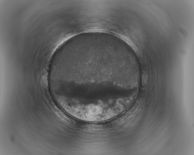 X0000111441356200908031344