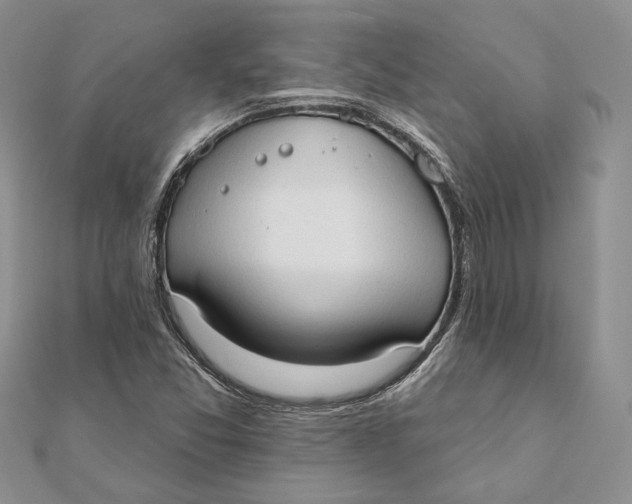 X0000111441357200908031344