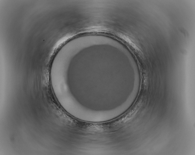 X0000111441358200908031344