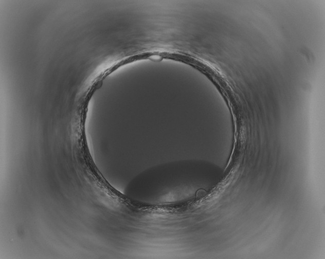 X0000111441359200908031344