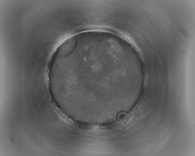 X0000111441360200908031344