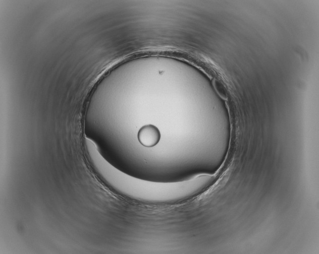 X0000111441361200908031344