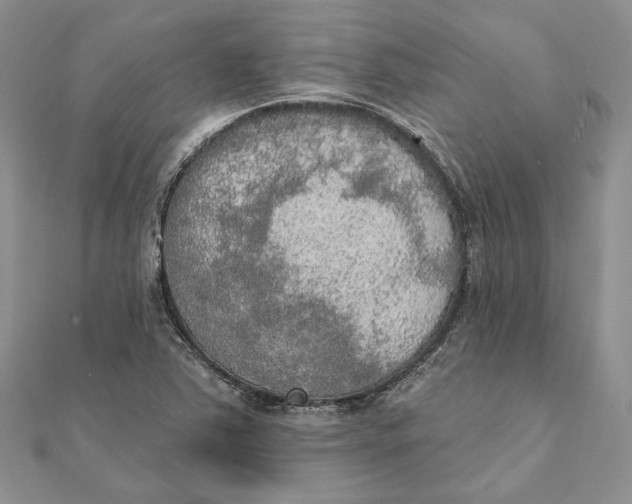 X0000111441363200908031344