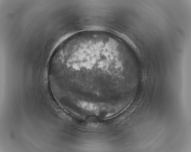 X0000111441364200908031344