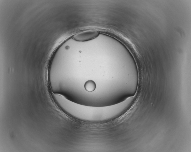 X0000111441365200908031344