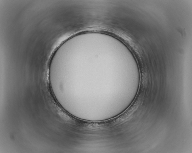 X0000111441366200908031344