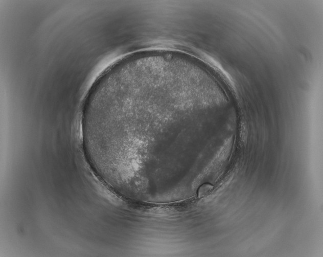 X0000111441368200908031344