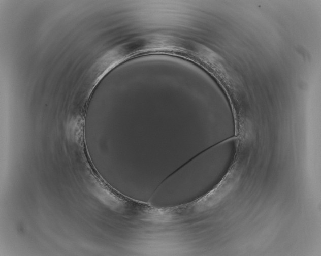 X0000111441369200908031344