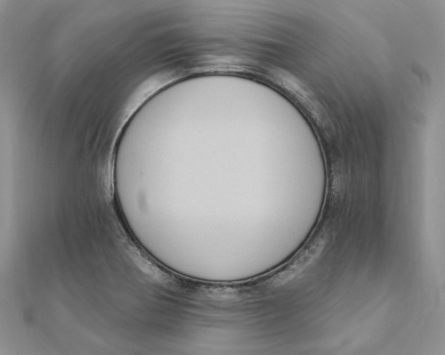 X0000111441370200908031344