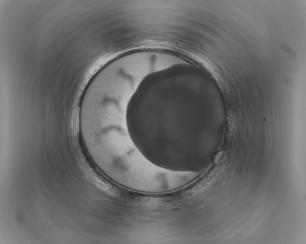 X0000111441371200908031344