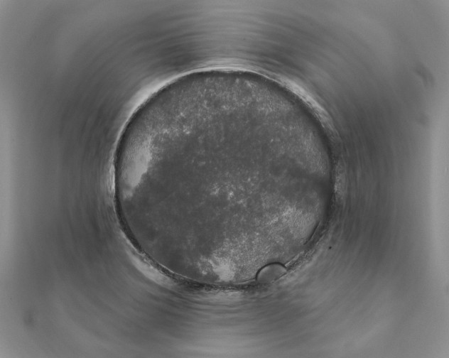 X0000111441372200908031344