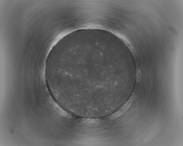 X0000111441374200908031344