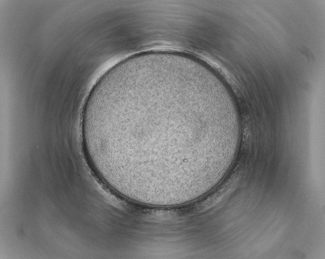 X0000111441375200908031344