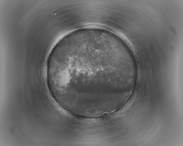 X0000111441376200908031344