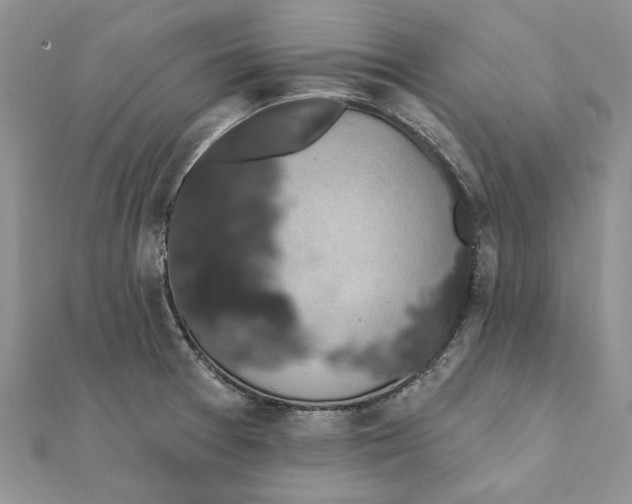 X0000111441377200908031344