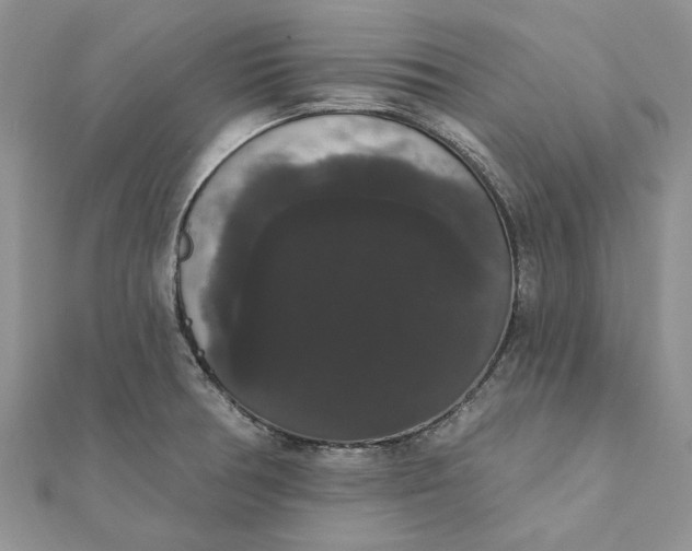 X0000111441378200908031344