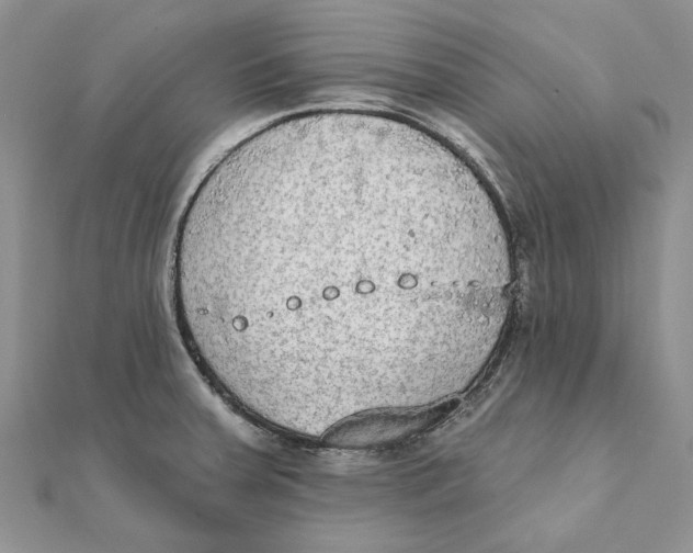 X0000111441379200908031344