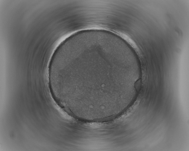 X0000111441380200908031344