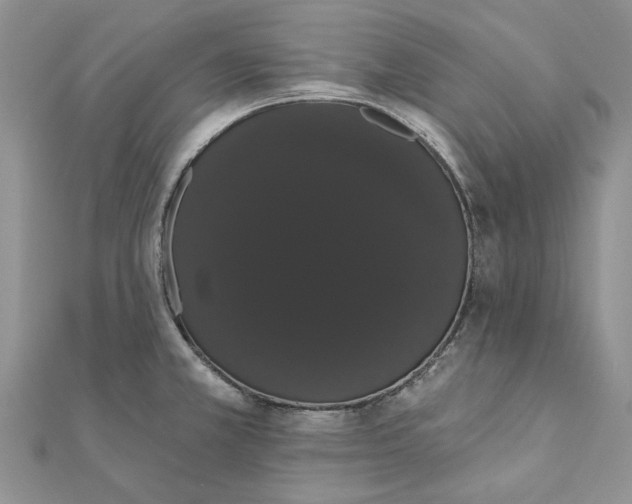 X0000111441381200908031344