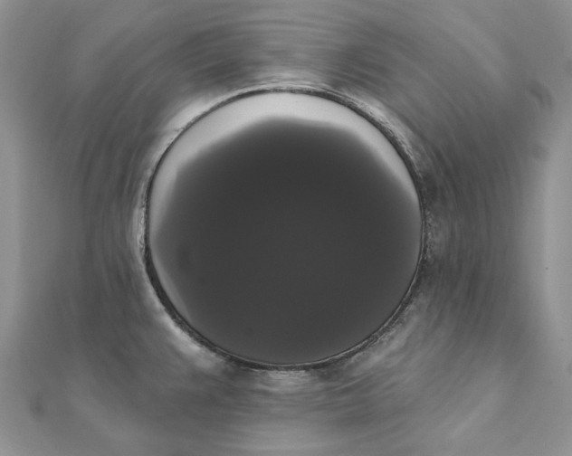 X0000111441383200908031344