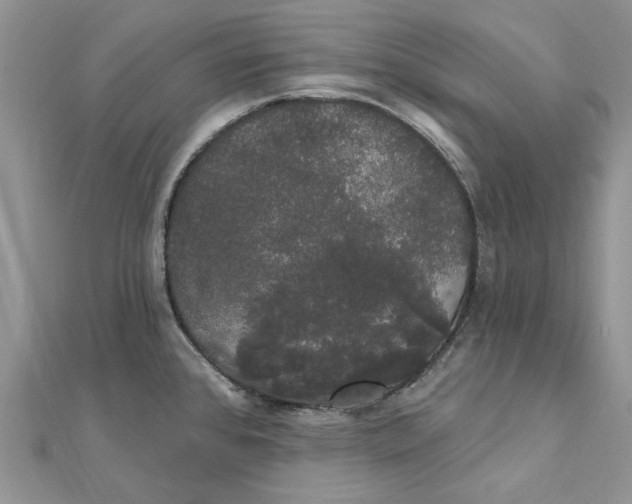 X0000111441384200908031344