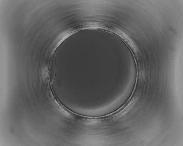 X0000111441385200908031344