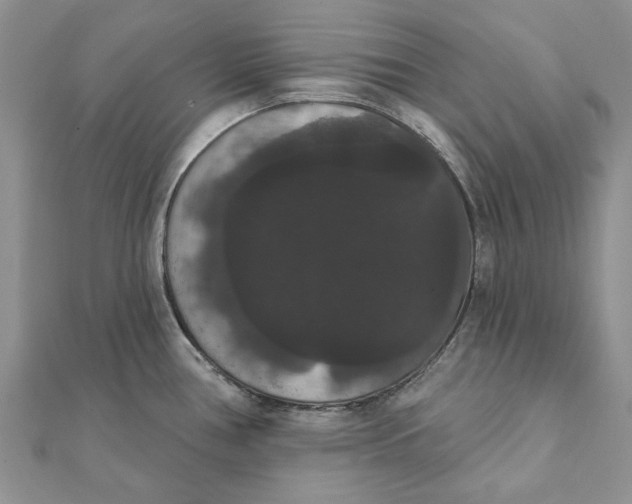 X0000111441386200908031344