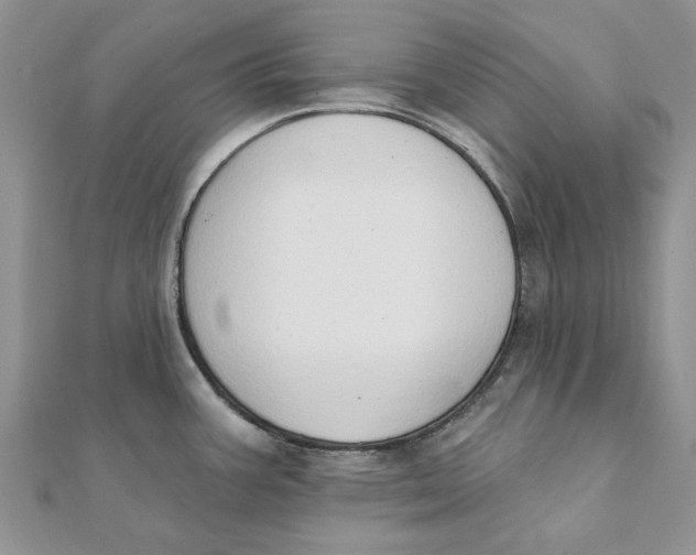 X0000111441387200908031344