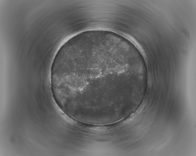 X0000111441388200908031344