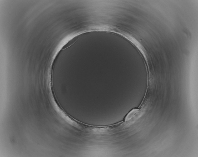 X0000111441389200908031344