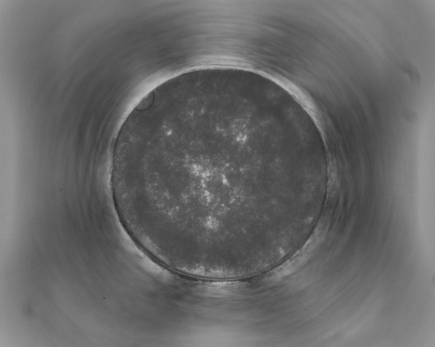 X0000111441390200908031344