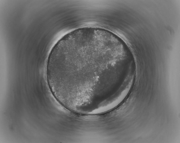 X0000111441392200908031344